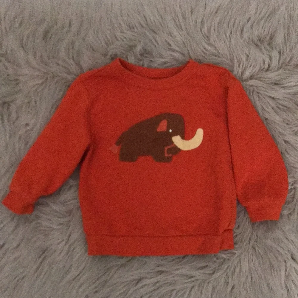 Champion/ Christian Robinson Boys Sweatshirt | Bundle of Three | 2T